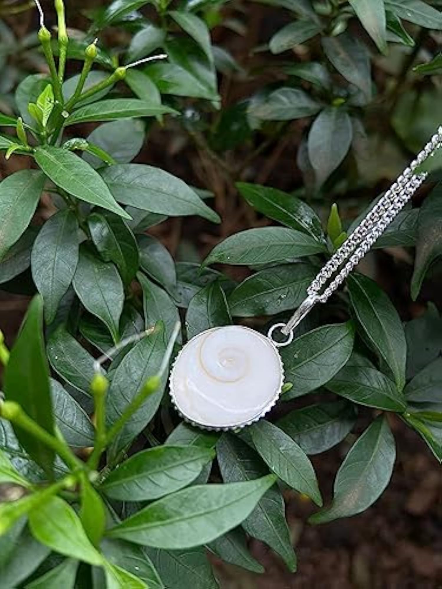 Gomti Chakra Pendant with Chain for Money Flow